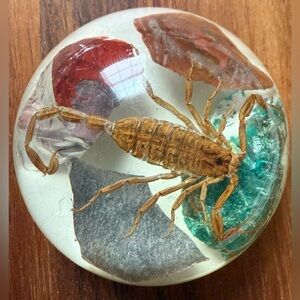 VTG Real Scorpion Minerals Gemstones Paper Weight Souvenir Paperweight Resin